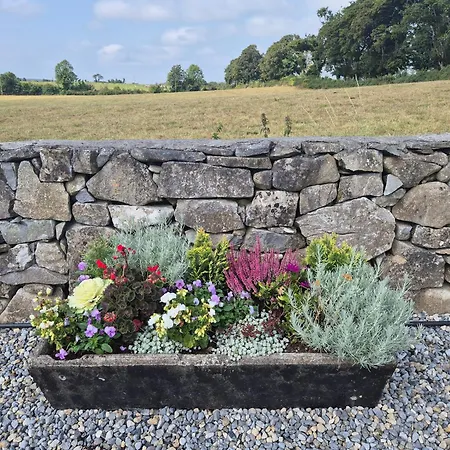 Tranquil Retreat At Carney Commons