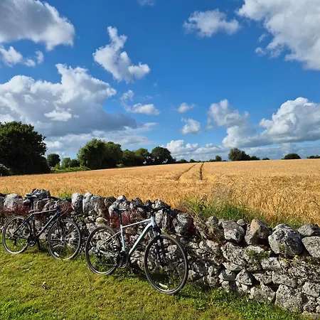 Tranquil Retreat At Carney Commons Tatil Evi