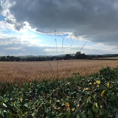 Tatil Evi Tranquil Retreat At Carney Commons *