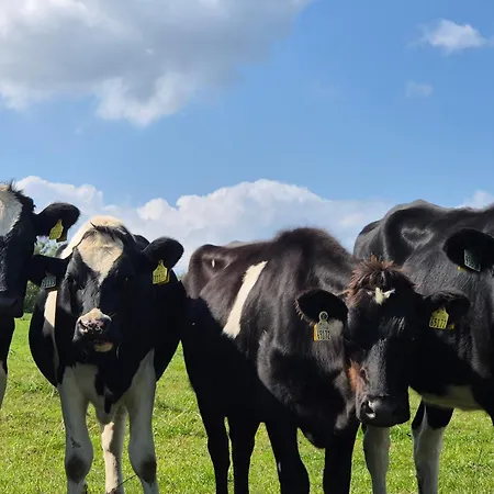 Tranquil Retreat At Carney Commons *