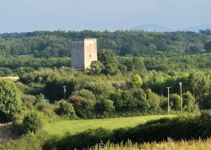 Tranquil Retreat At Carney Commons Dromineer