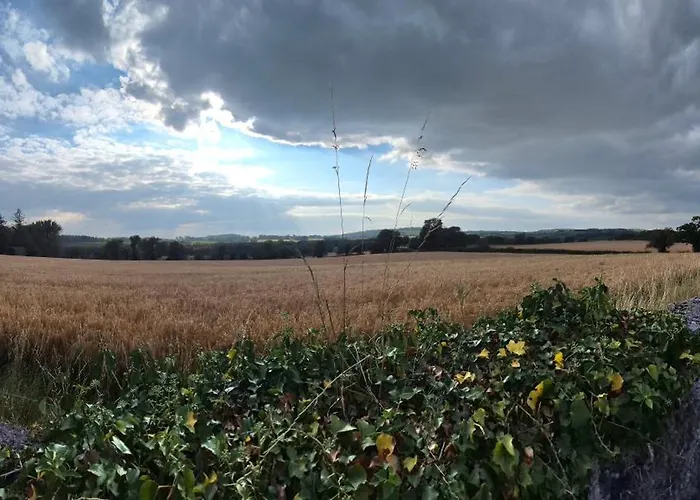 Ferienhaus Tranquil Retreat At Carney Commons *